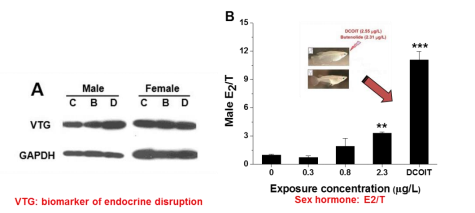 图片e1.png